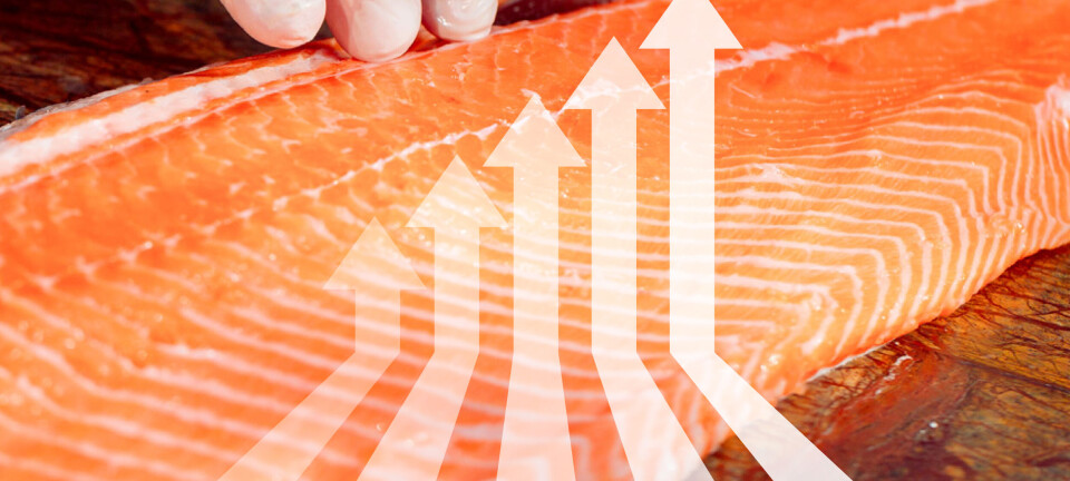 Lakseprisen hopper oppover