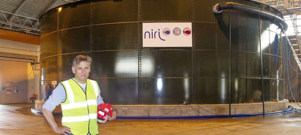 Aircraft hangar salmon farm put up for sale