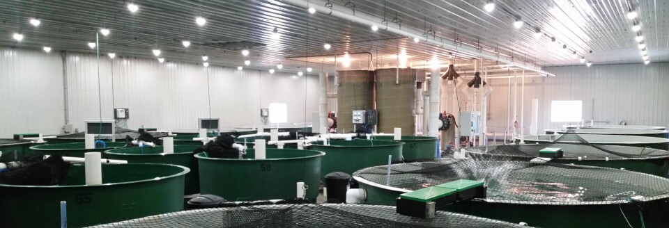 AquaBounty has lower costs but diminishing assets