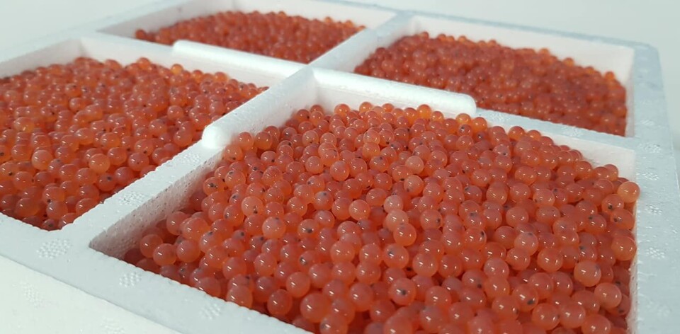The US salmon sector largely relies on imported ova, but many states have strict rules which limit their use.