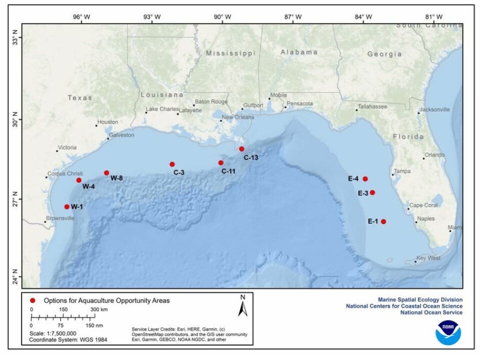 Options for AOAs in the US federal waters of the Gulf of Mexico.
