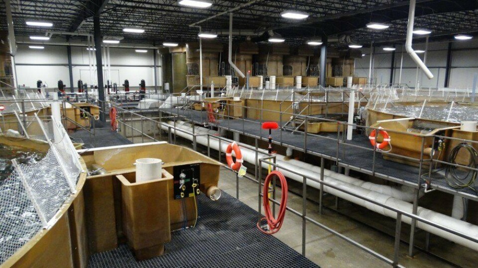 Fish tanks at AquaBounty's RAS facility in Albany, Indiana, which is now being put up for sale.