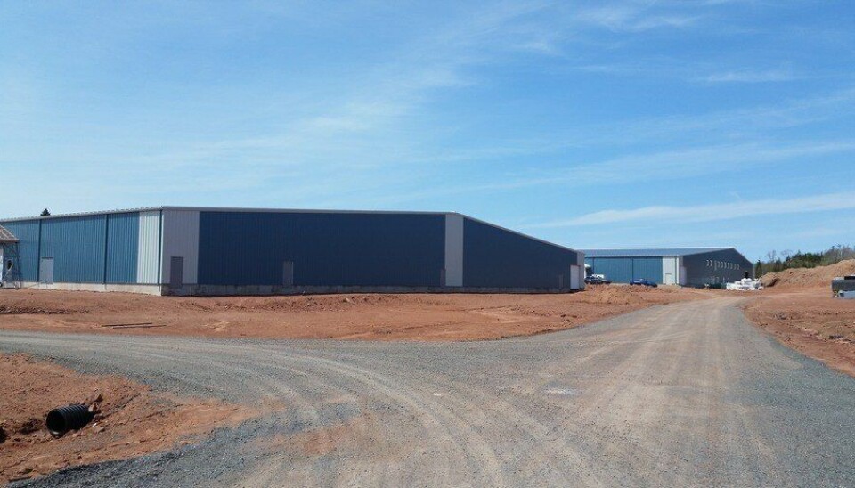 AquaBounty facilities in Rollo Bay.