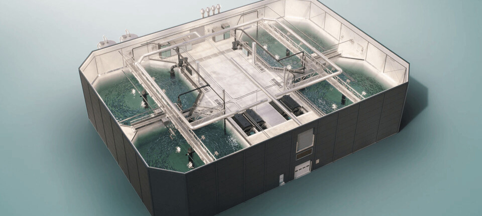 Nofitech chosen to build RAS system for US land-based salmon farm