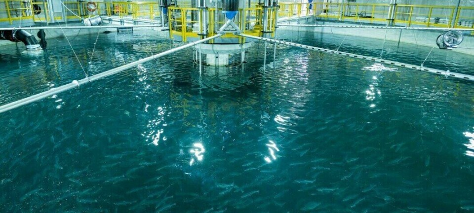 Salmon Evolution looks at Native American land for US farm