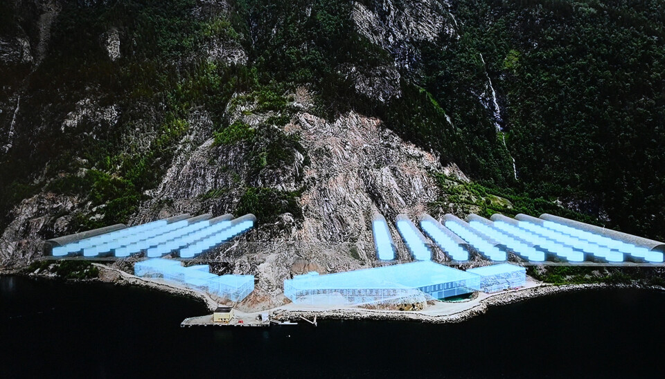 Hofseth Fish Rack The stall of the mountain king
