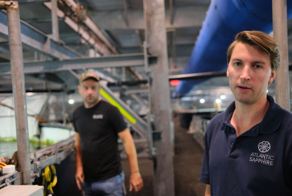 Karl Øystein Øyehaug, right, has been with Atlantic Sapphire for six years.