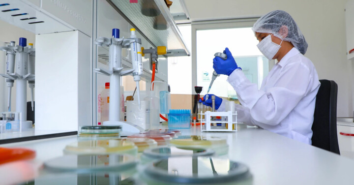 Chilenos demuestran efectividad de alternativa contra Flavobacterium