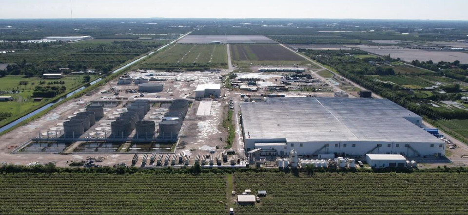 Construction of Phase 2, left, has been put on hold. Now everything is focused on achieving profitability in Phase 1 production, right.