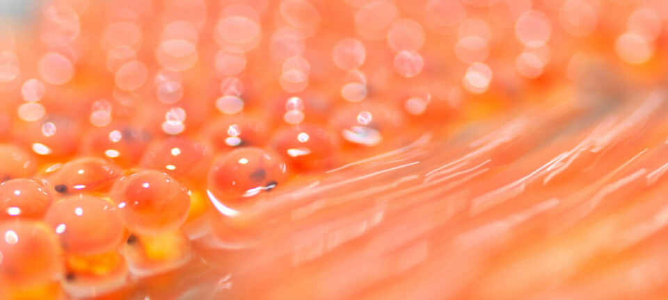 Benchmark is up for sale