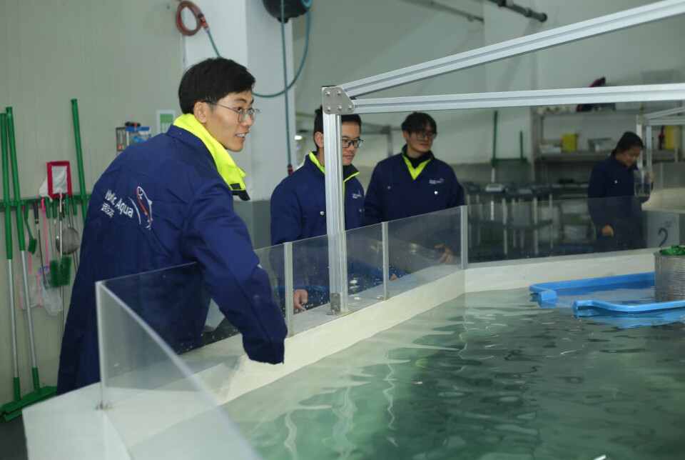 Staff at the Nordic Aqua facility in Gaotang, Ningbo, eastern China.