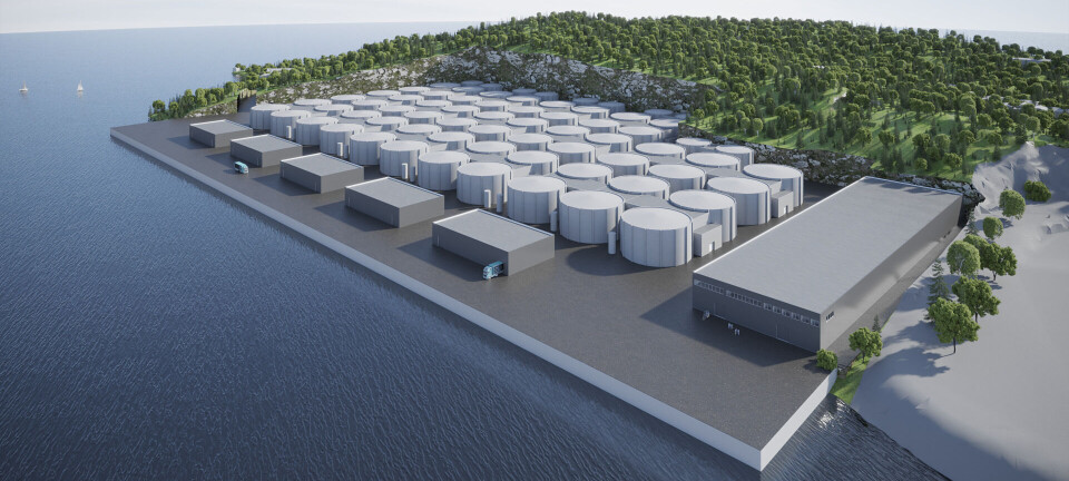 Green light for £550m land-based salmon farm