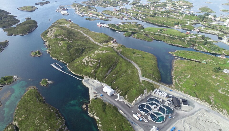 In the insular sector of Bulandet, the former Bulandet Miljøfisk, now Bue Salmon, carries out its activities.