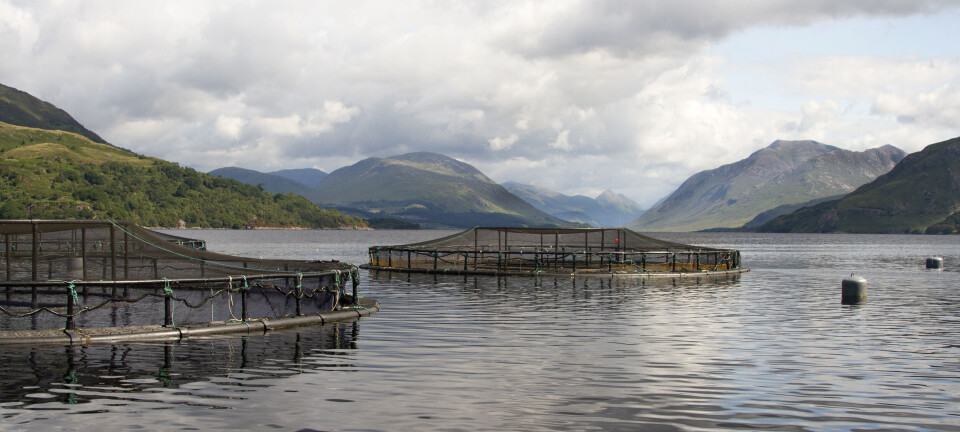 Mowi Scotland made €1.1m loss in Q4