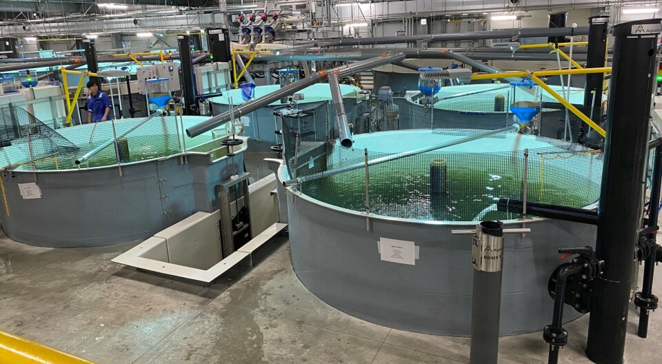 Proximar Seafood secured fresh capital