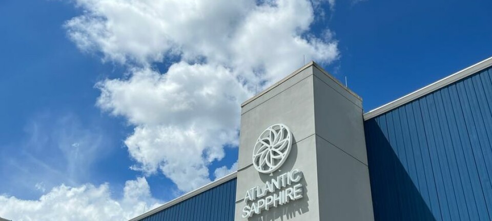 Atlantic Sapphire pushes back profitability date after biomass adjustment