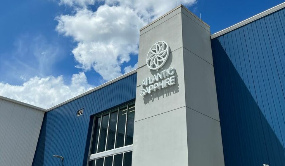 Atlantic Sapphire produced 1,300 tonnes of salmon in Q3