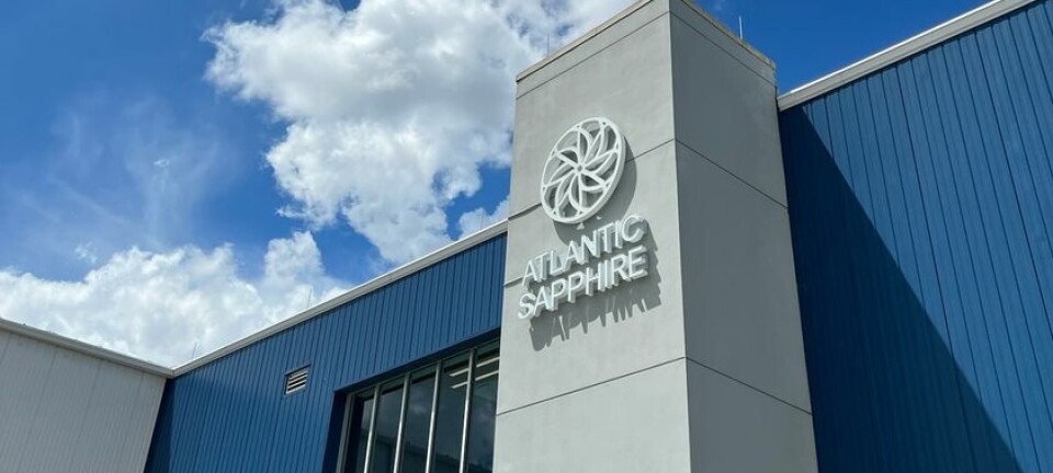 Atlantic Sapphire produced 1,300 tonnes of salmon in Q3