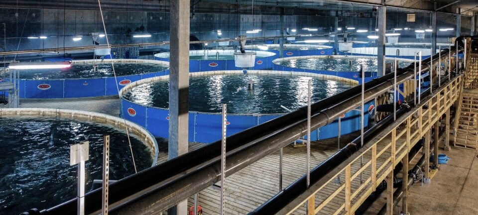 100,000 fish die in Canadian RAS farm