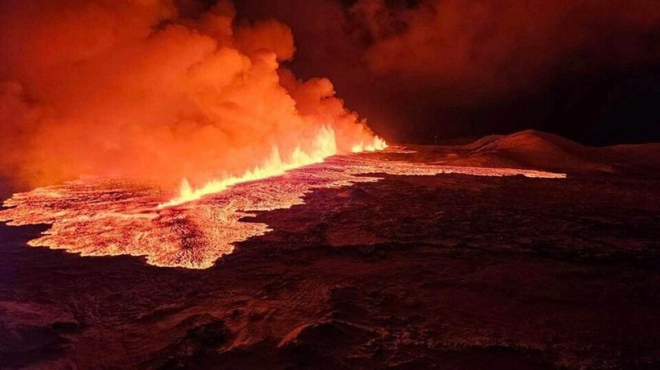 Lava is spilling from a 3.5 km split in the rock.