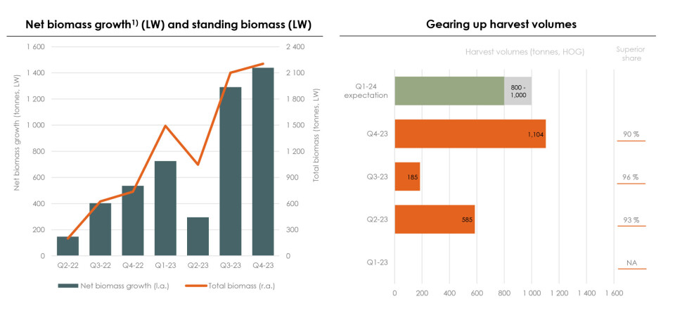 Salmon Evolution has increased biomass at Indre Harøy in all but one quarter, when a pathogen entered the hybrid recirculation/flow-through facility, causing an outbreak of AGD in two batches of fish.