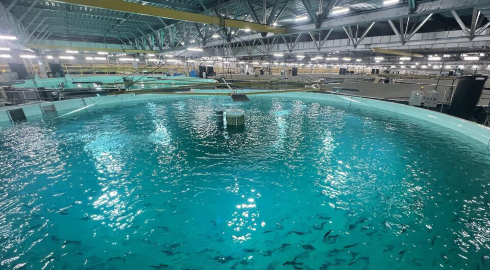 Inside Proximar's facility this month.