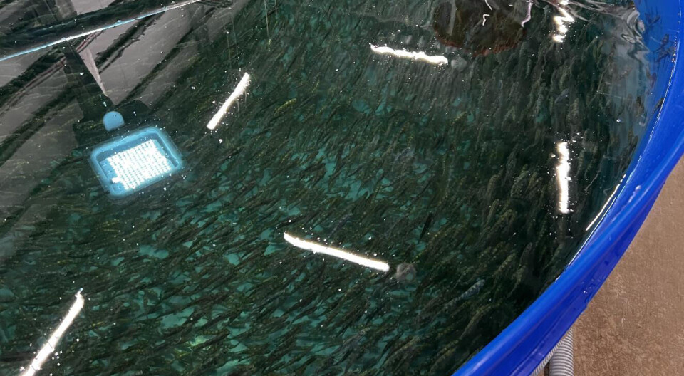 Illustration photo from Proximar's facility.