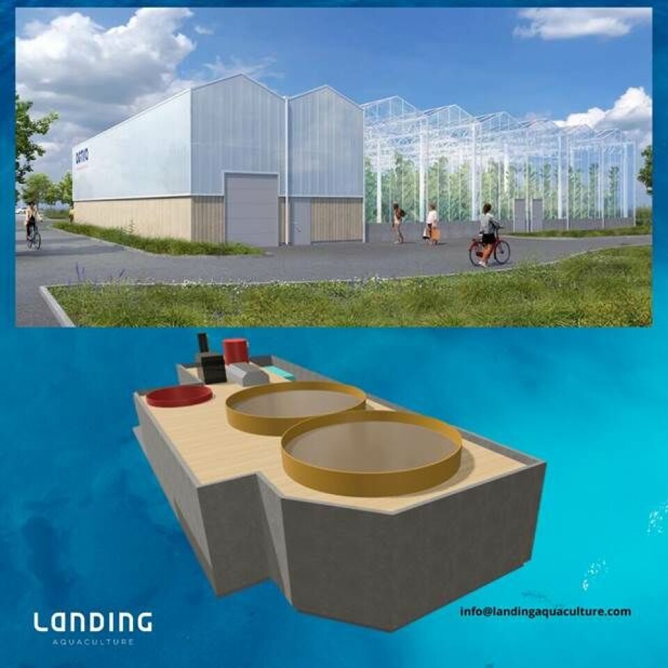 Landing Aquaculture has developed its most compact RAS to date for Agtira's greenhouse at Östersund.