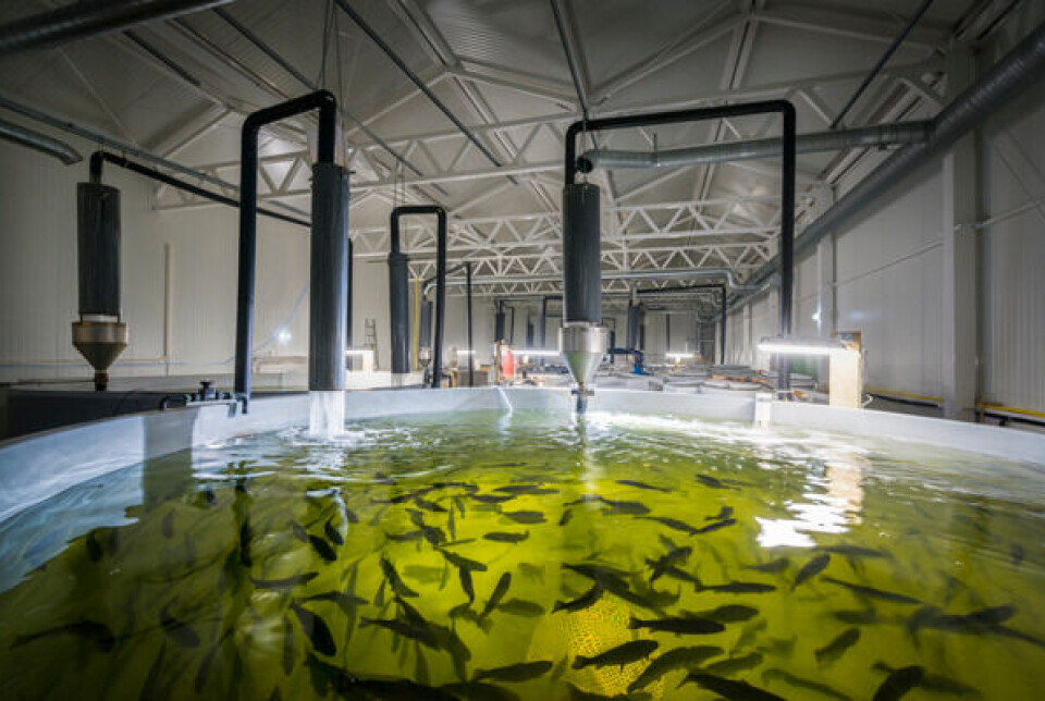 Agtira currently operates one RAS, in Härnösand.