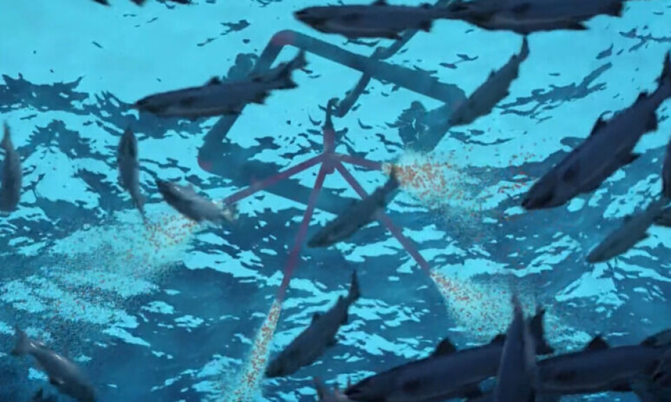 Fluctus says its water-borne feed system offers several advantages.