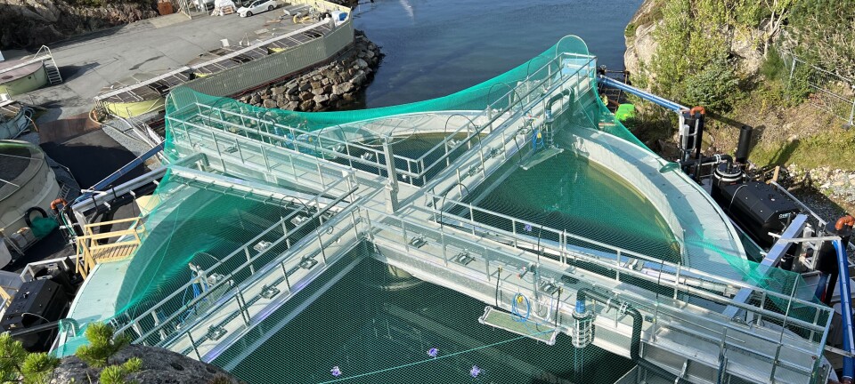 OptiRAS maker sells 50% stake to build partner Leirvik