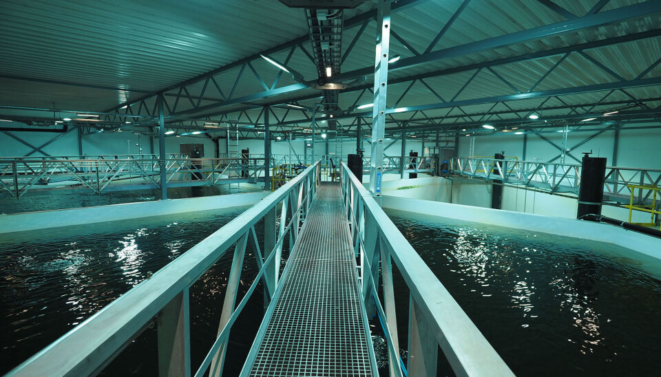 Illustrasjonsfoto fra selskapet.