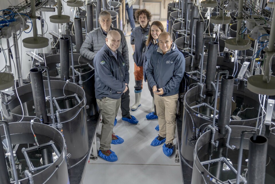 Front: BioMar vice president Latin America, shrimp & hatchery, Henrik Aarestrup, left, and chief executive Carlos Diaz, in the new unit. Behind them are global R&D director Simon Wadsworth and Joana Amaral, global hatchery product manager.