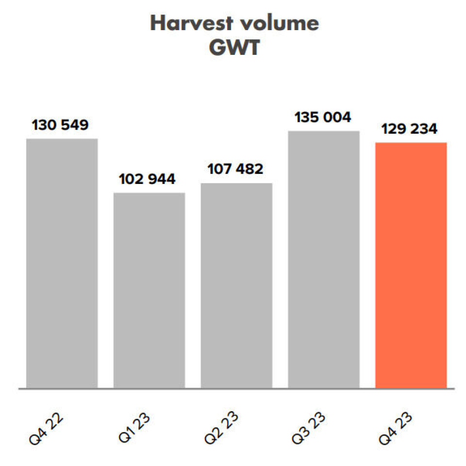 Mowi recorded bigger harvests in 2023 and is guiding for 500,000 gwt this year.