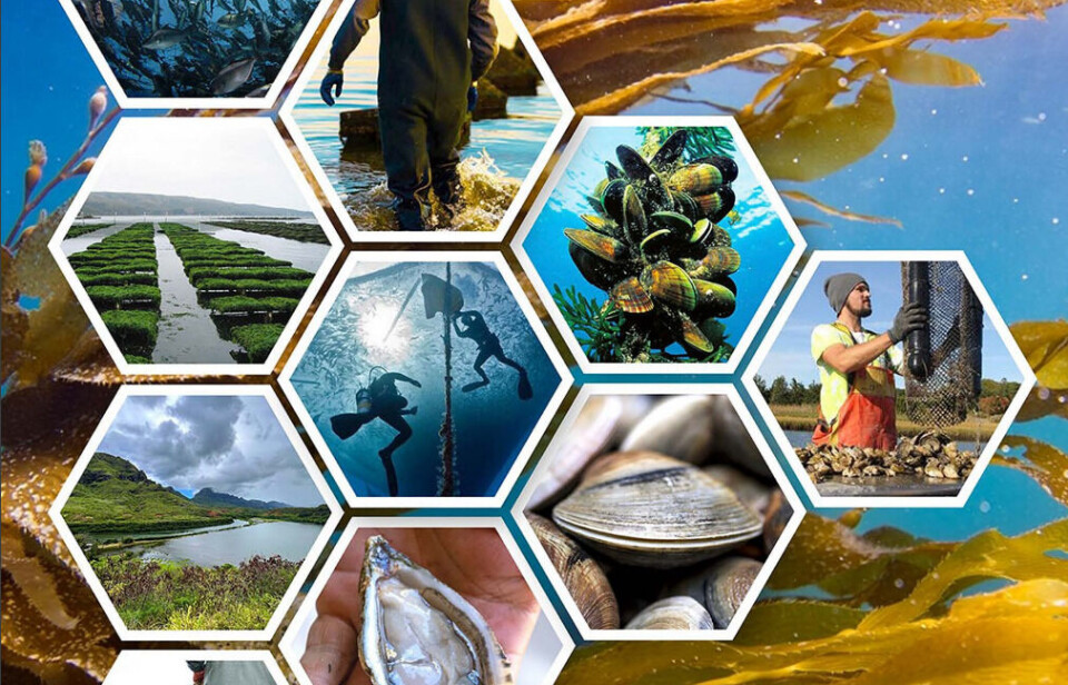 NOAA has a five-year plan for aquaculture and is updating visitors to Aquaculture America 2024 about various aspects on its work this week.