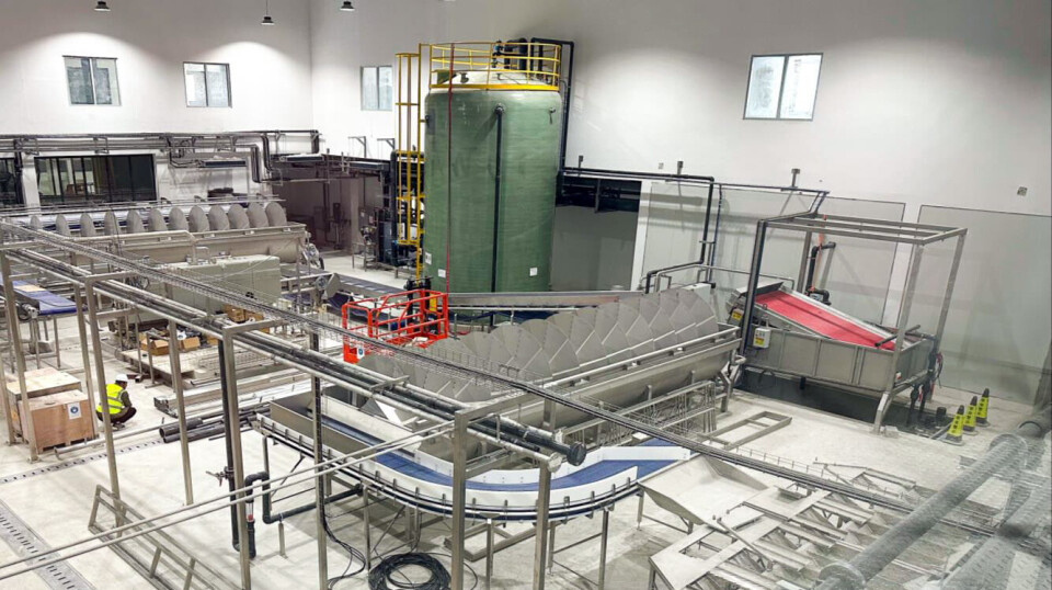 Final work on the processing plant at Gaotang which will handle the first harvest next month.