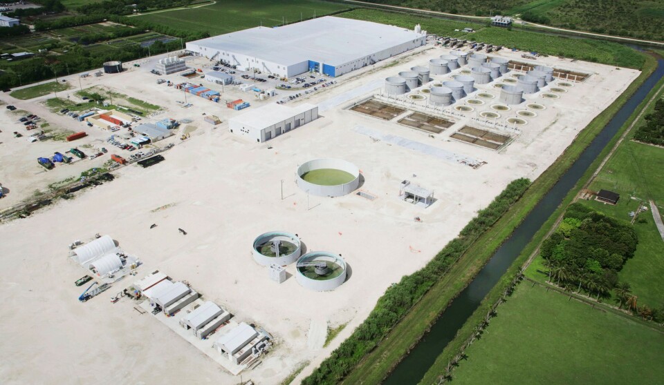 Phase 1 of Atlantic Sapphire's Bluehouse is in the building at the top of the picture, with tanks for phase 2 to the right.