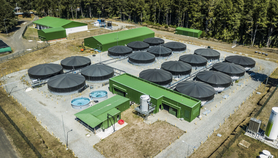 Curarrehue Aquaculture.