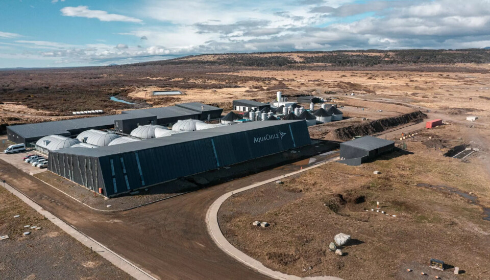 Hollemberg Aquaculture from the AquaChile group.