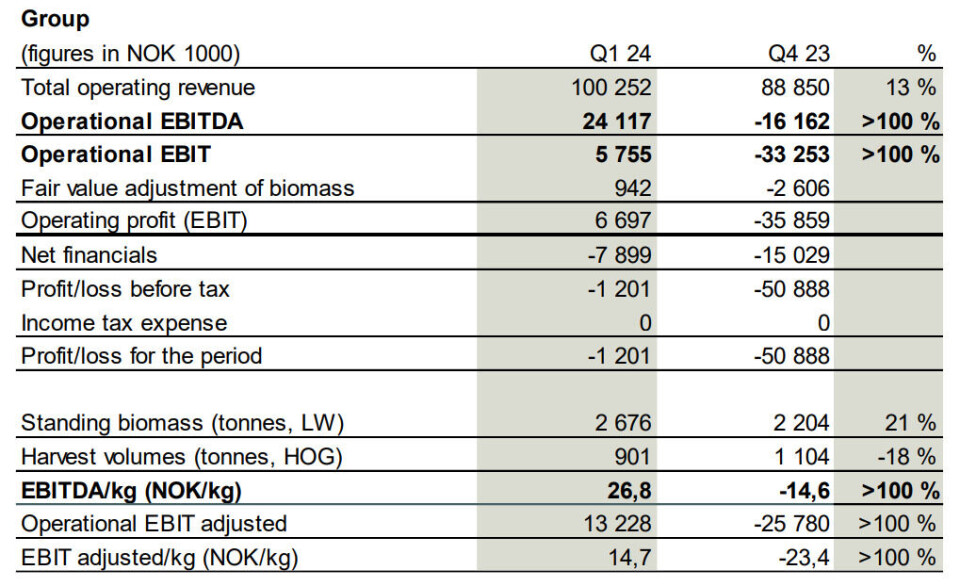 Financial performance for the Salmon Evolution group in Q1 2024.