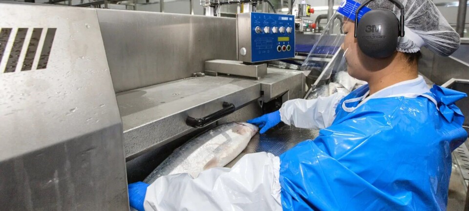 Nordic Aqua makes space for bigger salmon