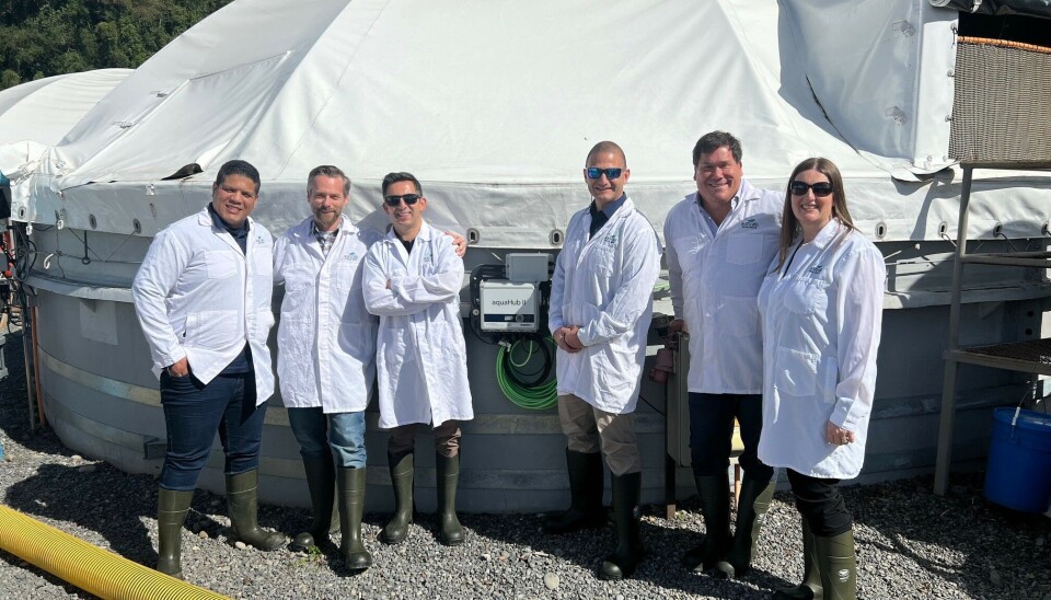 Team Innovasea Chile at Australis Seafoods pisciculture.