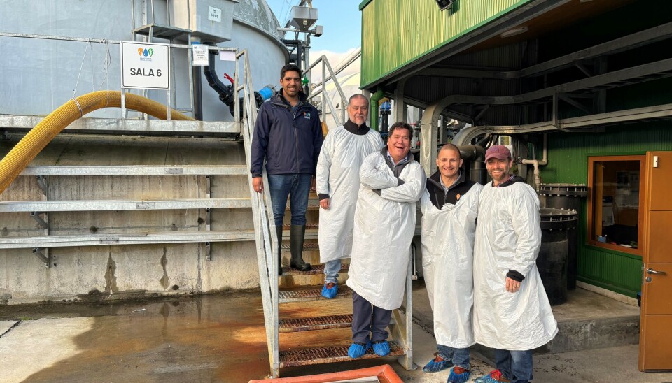 Innovasea team at Lago Sofia facilities in Chile.
