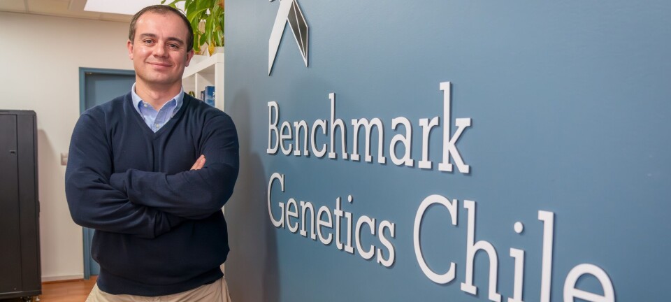 Benchmark Genetics Chile announced new general manager