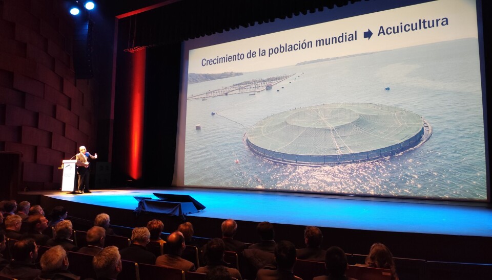 The need to develop a long-term strategy for Chilean salmon farming