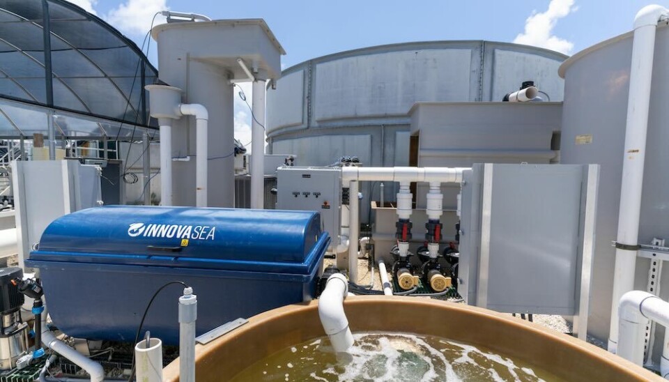 The drum filter features an innovative design for more efficient solids filtration.