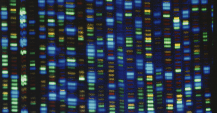 Inhibición de la madurez temprana en salmón mediante el silenciamiento del Receptor Fshr