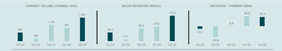 Development of harvest volume, turnover and EBITDA over the past five quarters.