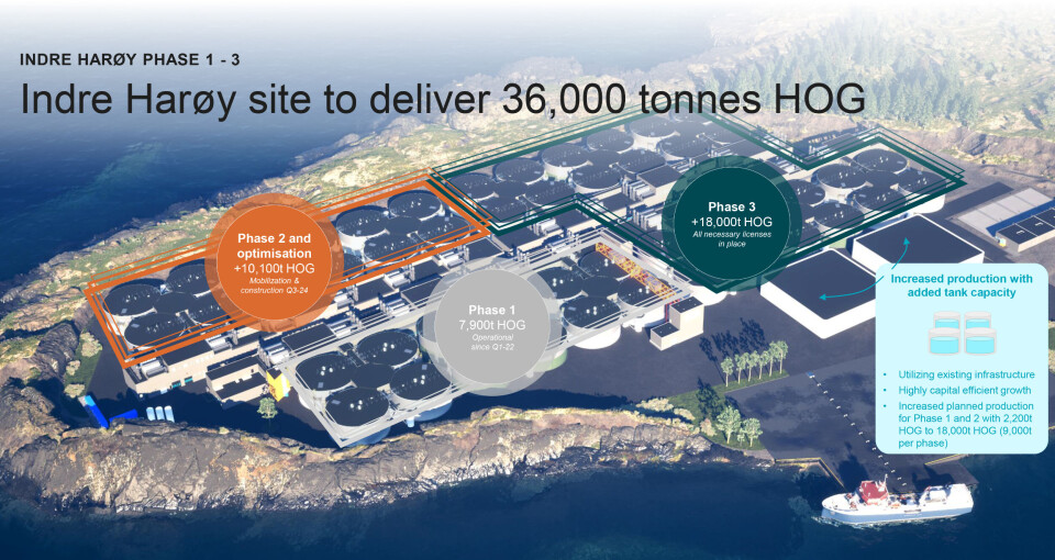 Salmon Evolution plans to make the most of its site at Indre Harøy.
