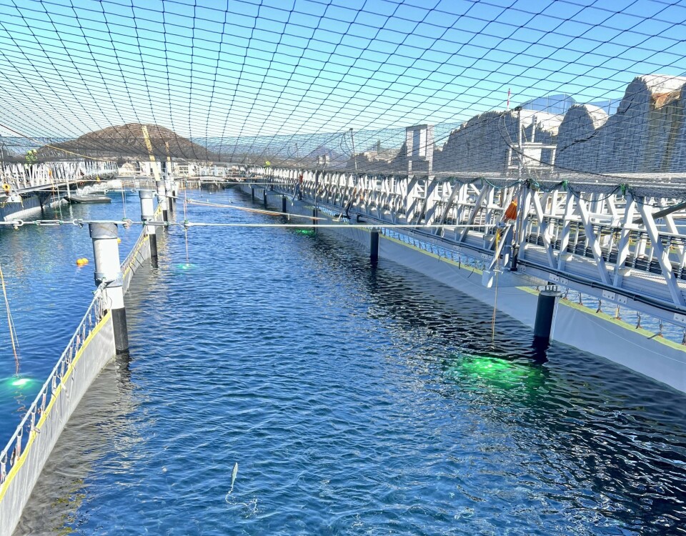 Gigante Salmon uses a flow-through system and raises its fish in raceways.